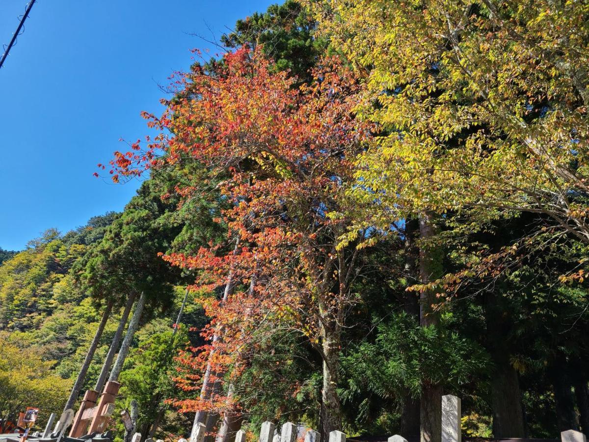 Ichimaru Ryokan - Vacation Stay 77851V Tenkawa Bagian luar foto